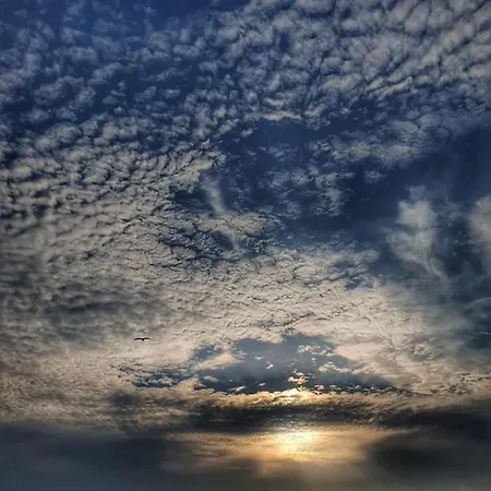 Апартаменты La Madrague